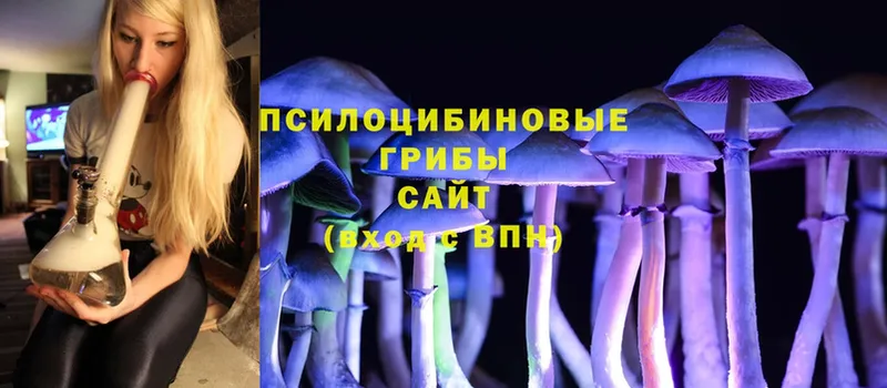 Галлюциногенные грибы Psilocybe  Ахтубинск 